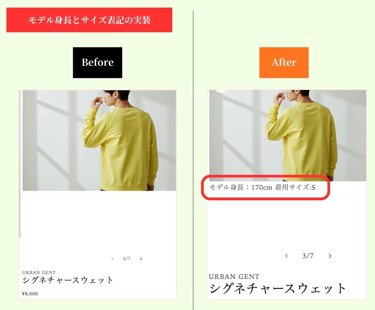 モデル着用サイズ設置